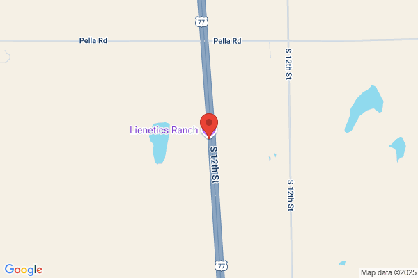 Box L Land & Cattle