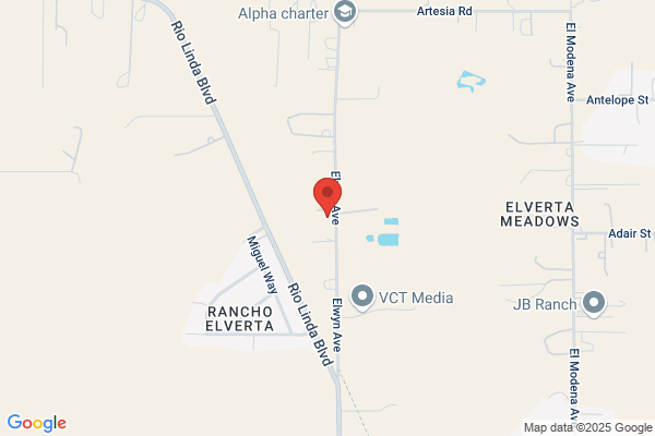 AAA Tree Service