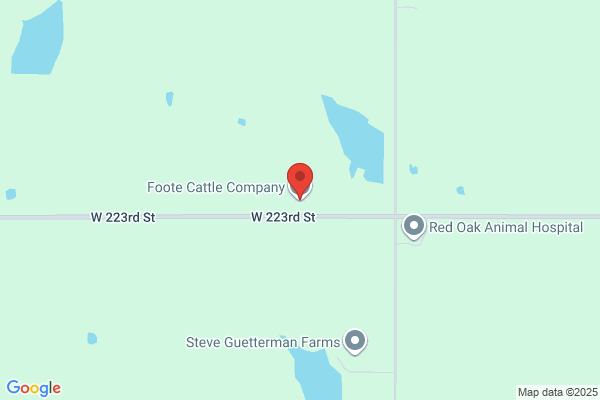 Foote Cattle Company