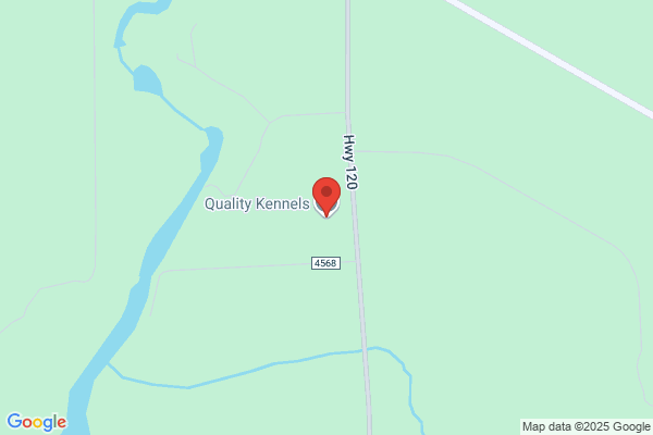 Quality Kennels
