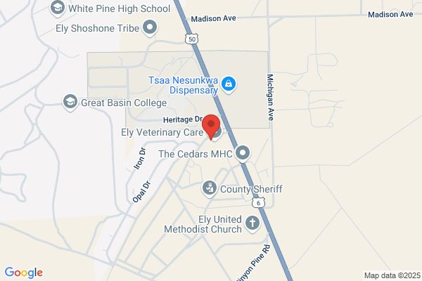 Cedar Grove Pet Resort