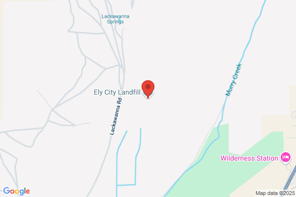 Ely Disposal Service Inc
