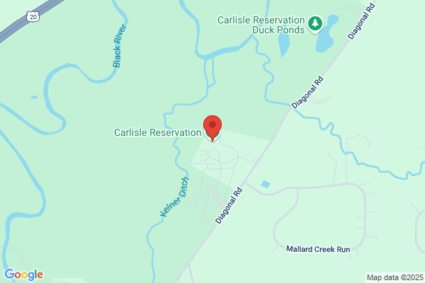 Carlisle Spring & Specialty