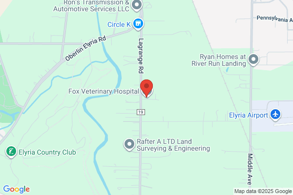 Fox Veterinary Hospital Inc