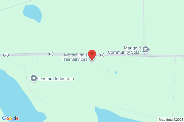 Morsching's Tree Service