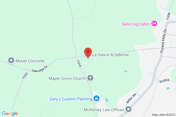 Le Dance Academie