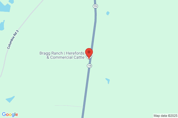 Bragg Ranch | Herefords & Commercial Cattle