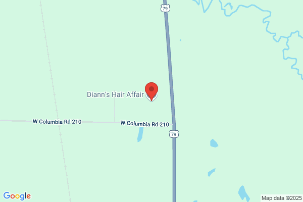 Diann's Hair Affair