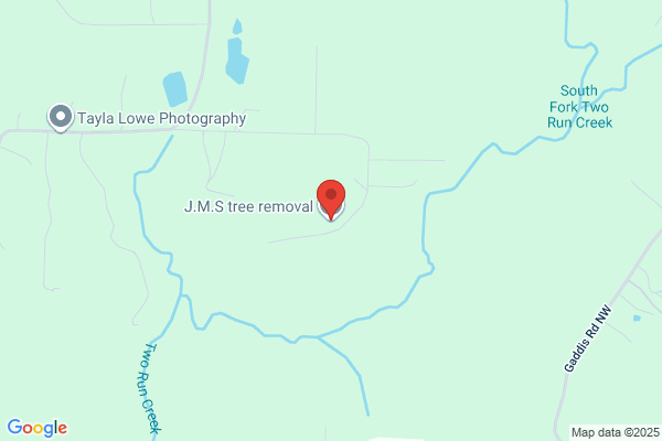 J.M.S. Tree Removal, Inc