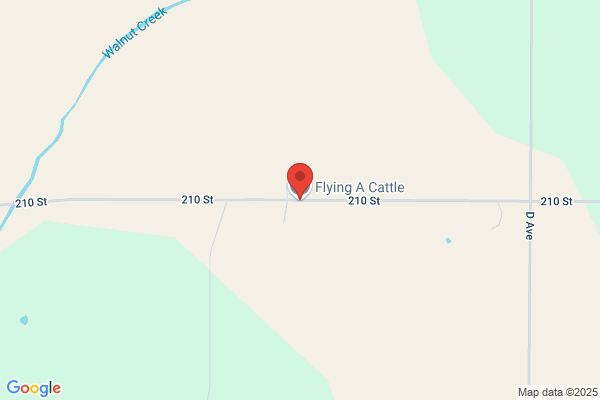 Flying A Cattle Co