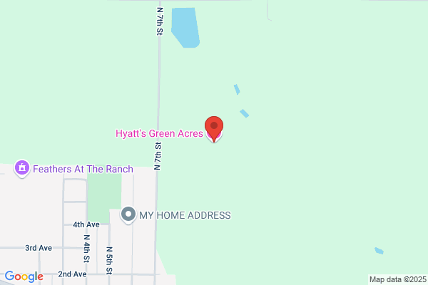 Hyatt's Green Acres Bed N Breakfast & Hunting Retreat