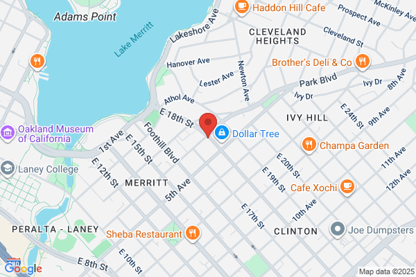 Dang-Vu Bay MD