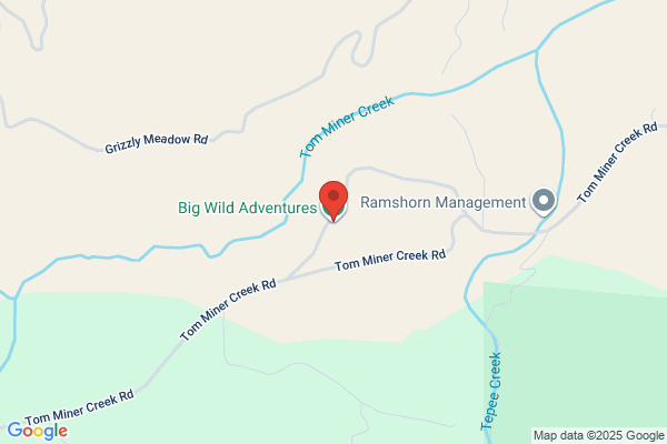 Big Wild Adventures