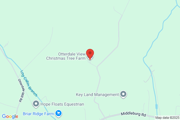 Autumn Ridge Christmas Tree Farm
