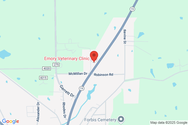 Emory Veterinary Clinic