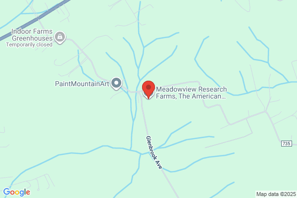 American Chestnut Foundation