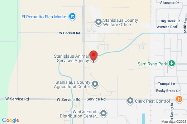 Animal Services Auxiliary