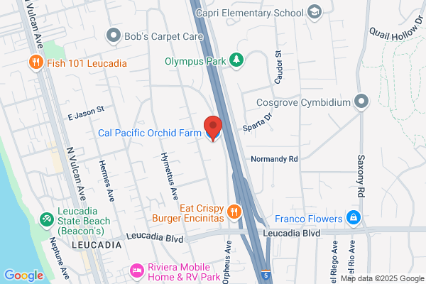 Cal Pacific Orchid Farm