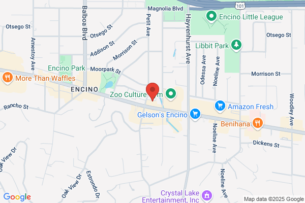 California Spine & Pain Institute