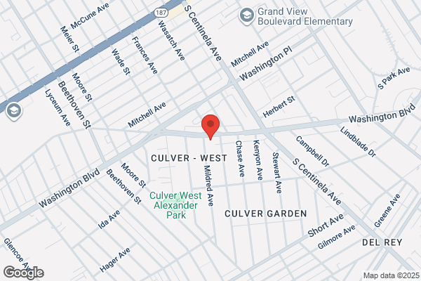 The Chiropractic Wellness Center: Brigitte Rozenberg, DC