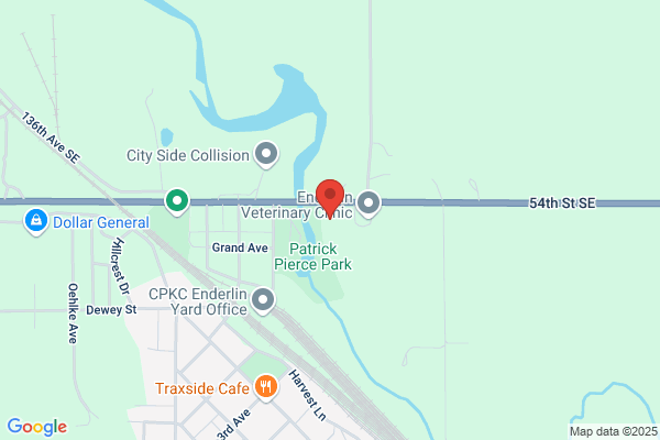 Maple River Auto Sales