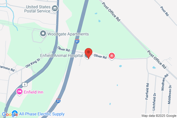 Enfield Animal Hospital