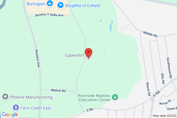 Eppendorf Real Estate Corporation
