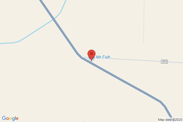 Mr Fish