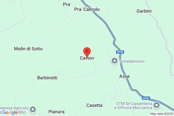 Cavion.Com