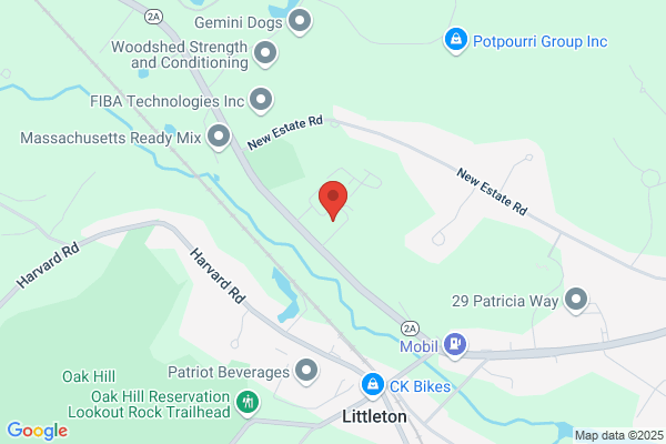 Littleton Electric Co