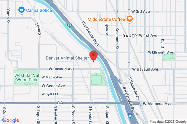 Animal Rescue & Adoption Society