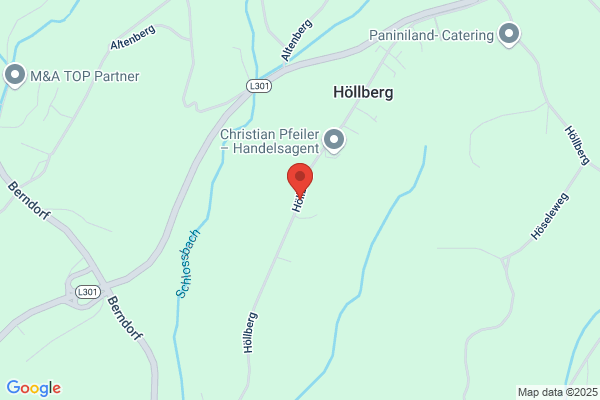 Hollberg Co