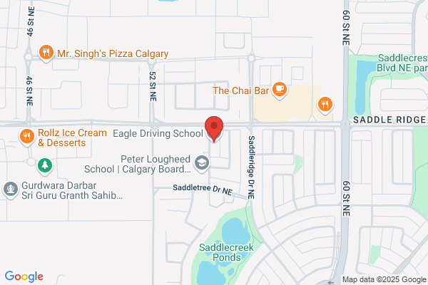 Eagle Driving School