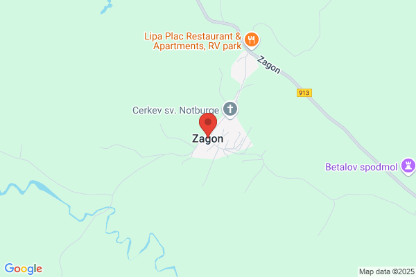 Zagon Alan H Dr