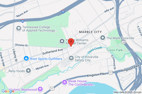 1-800 WATER DAMAGE of South Knoxville