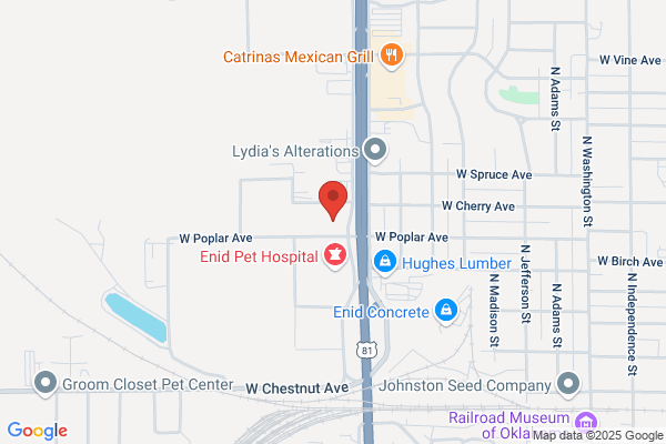 Gary W Miller DDS