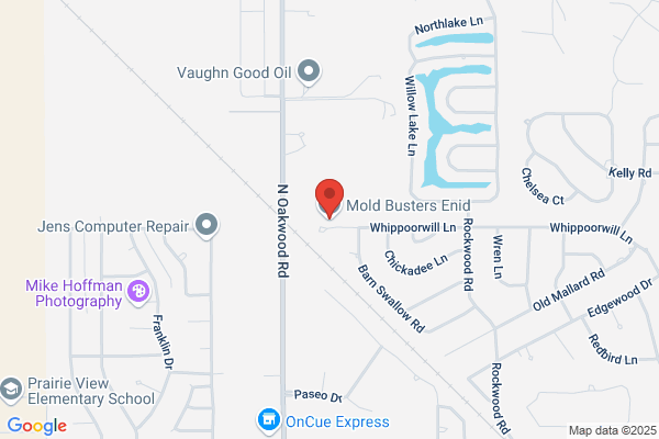 Mold Busters USA