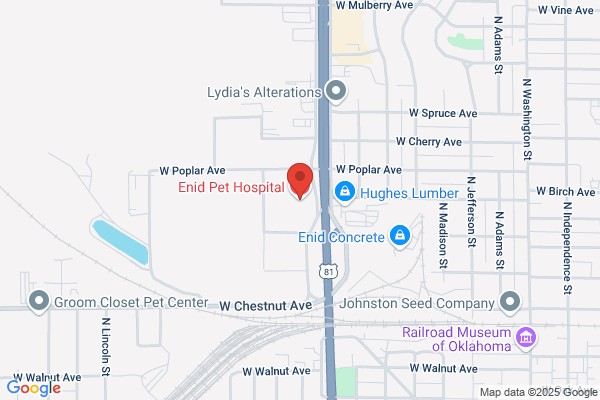Enid Pet Hospital