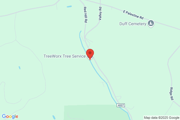TreeWorx Tree Service