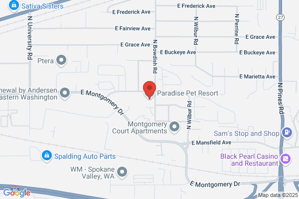 Paradise Pet Resort & Boarding Kennel