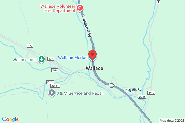 Wallace Grocery