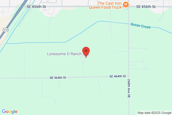 Lonesome D Ranch