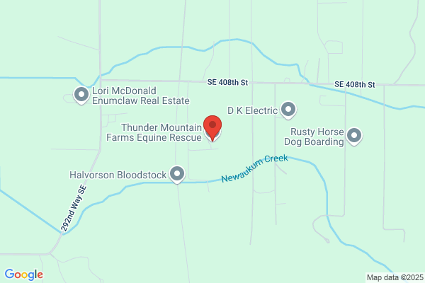 Thunder Mountain Farm