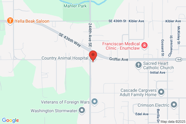 Country Animal Hospital