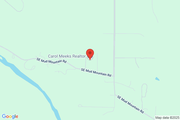 Carol Meeks Realtor
