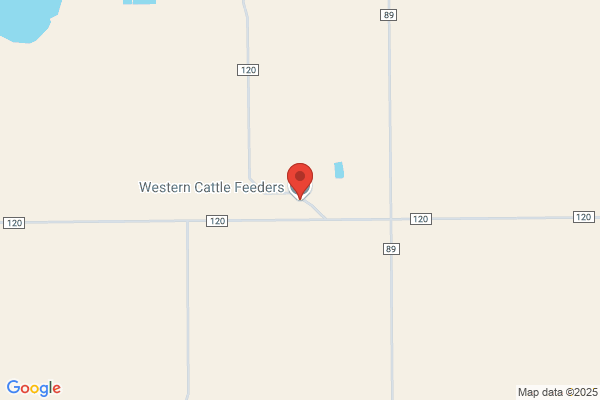 West Texas Lamb Feeders