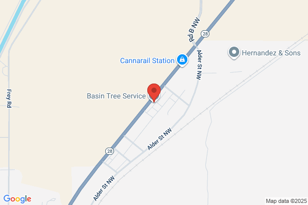 Basin Tree Service
