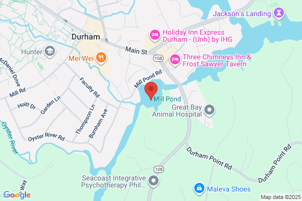 Mill Pond Maintenance