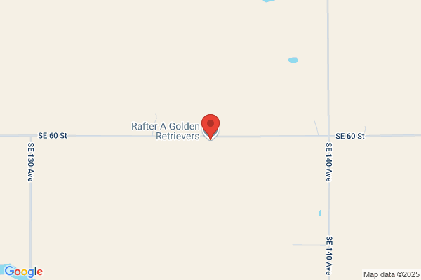 Sharp Retrievers
