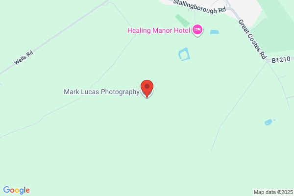 Mark Lucas and Thomas Lucas